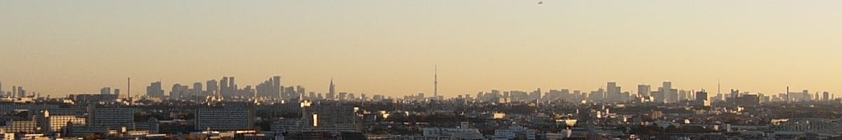 多摩区高台から新宿方面（早朝）